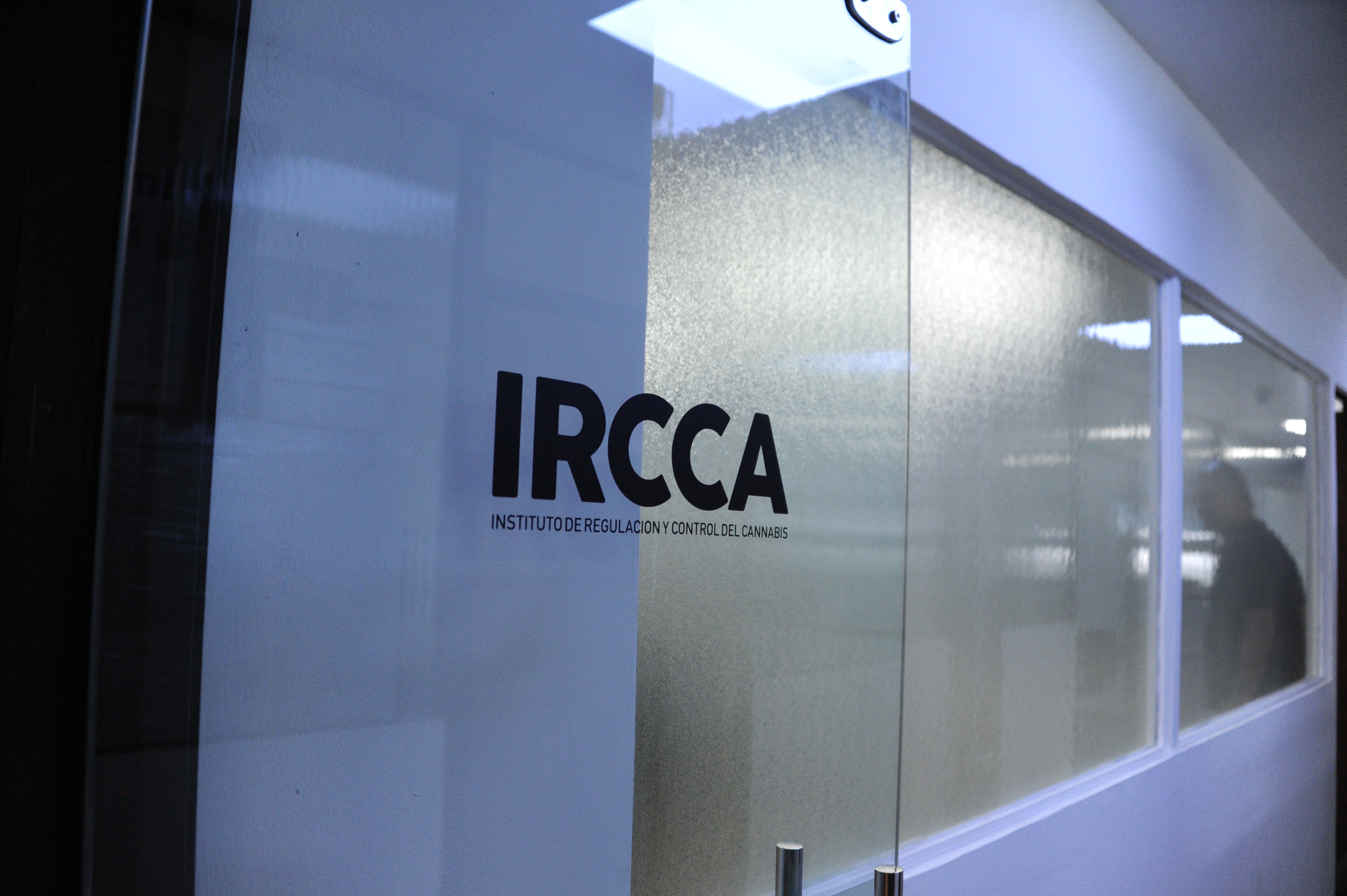 Reunión entre Junta Nacional de Drogas e Instituto de Regulación y Control del Cannabis