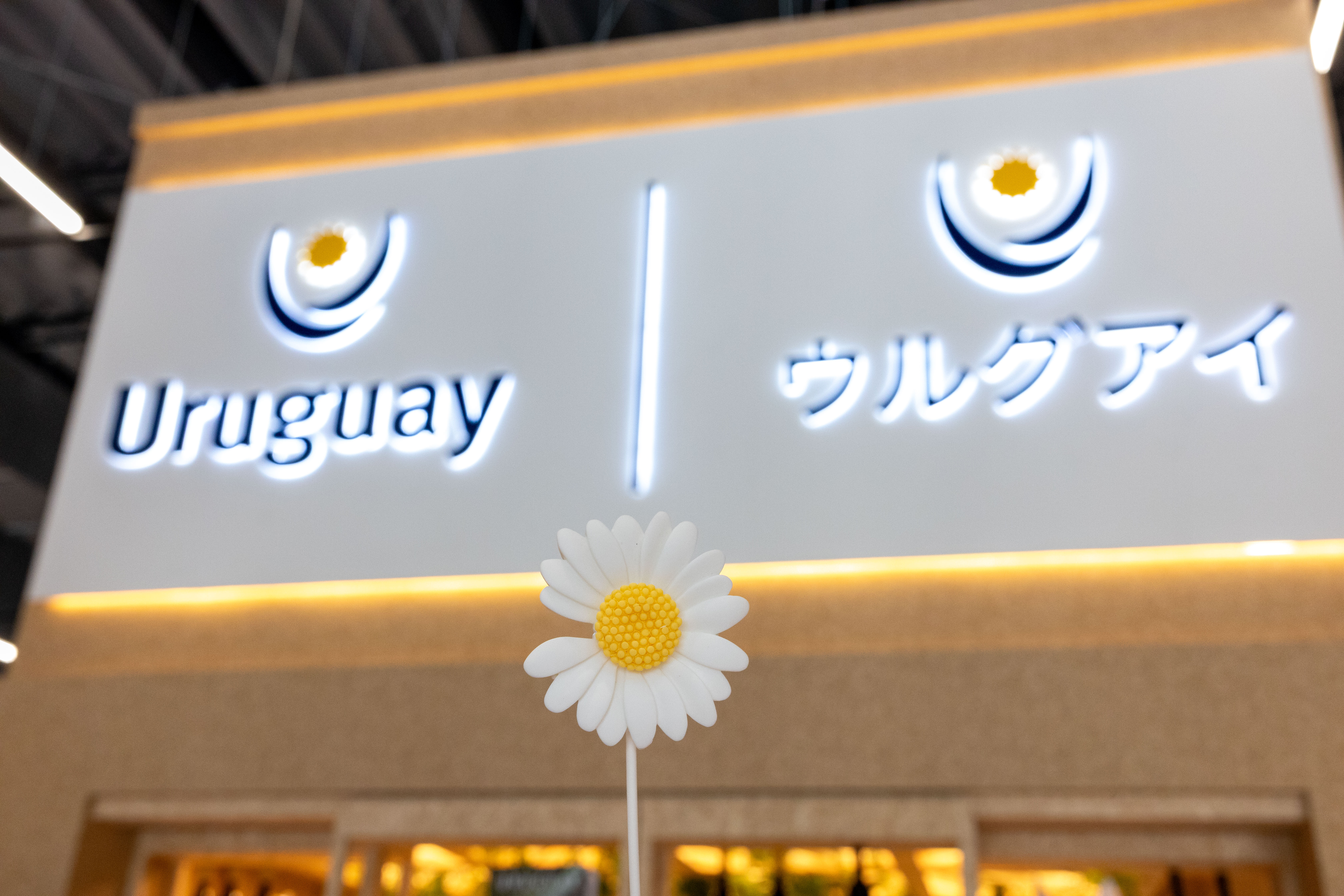 Uruguay recordó los derechos humanos en Expo Universal Osaka 2025