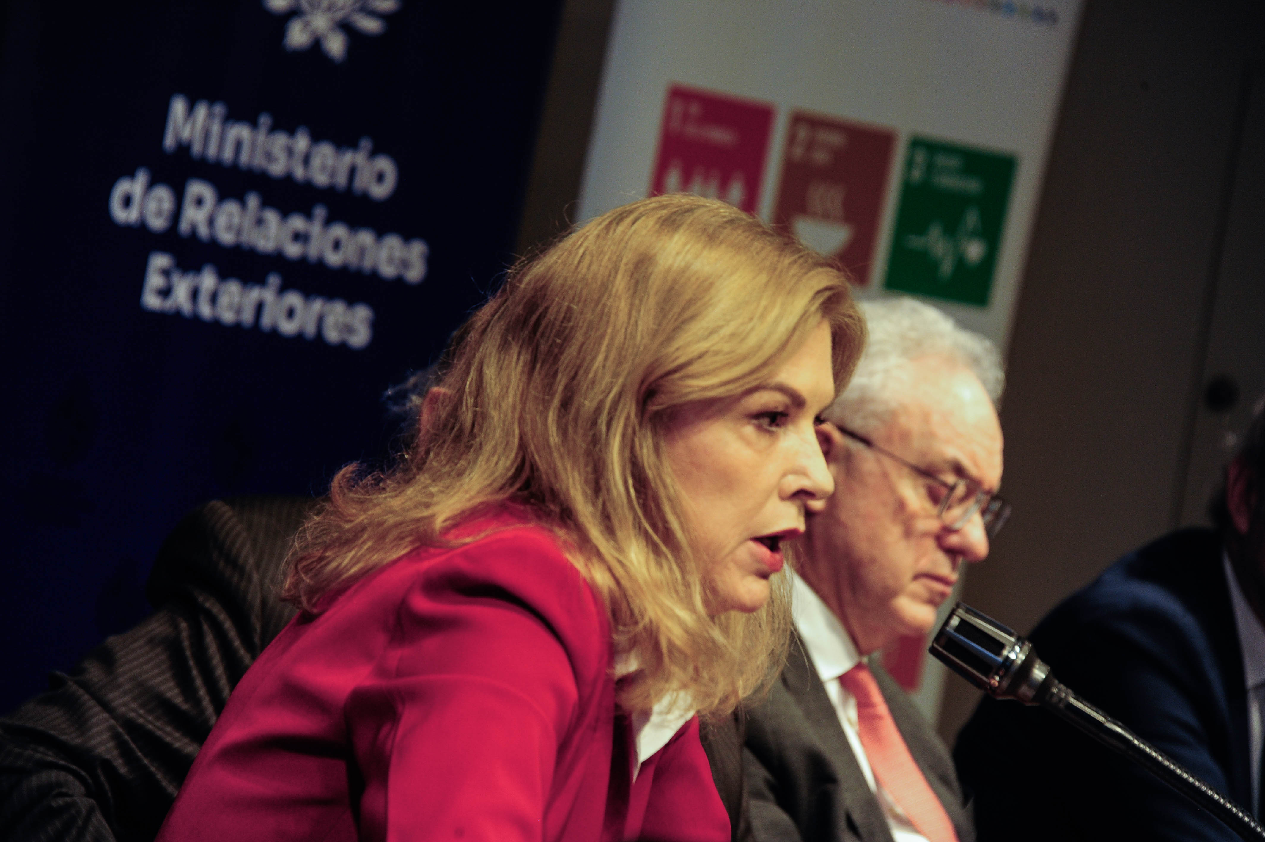 Plano lateral de la coordinadora residente de ONU Brasil disertando sentada en mesa con micrófono.