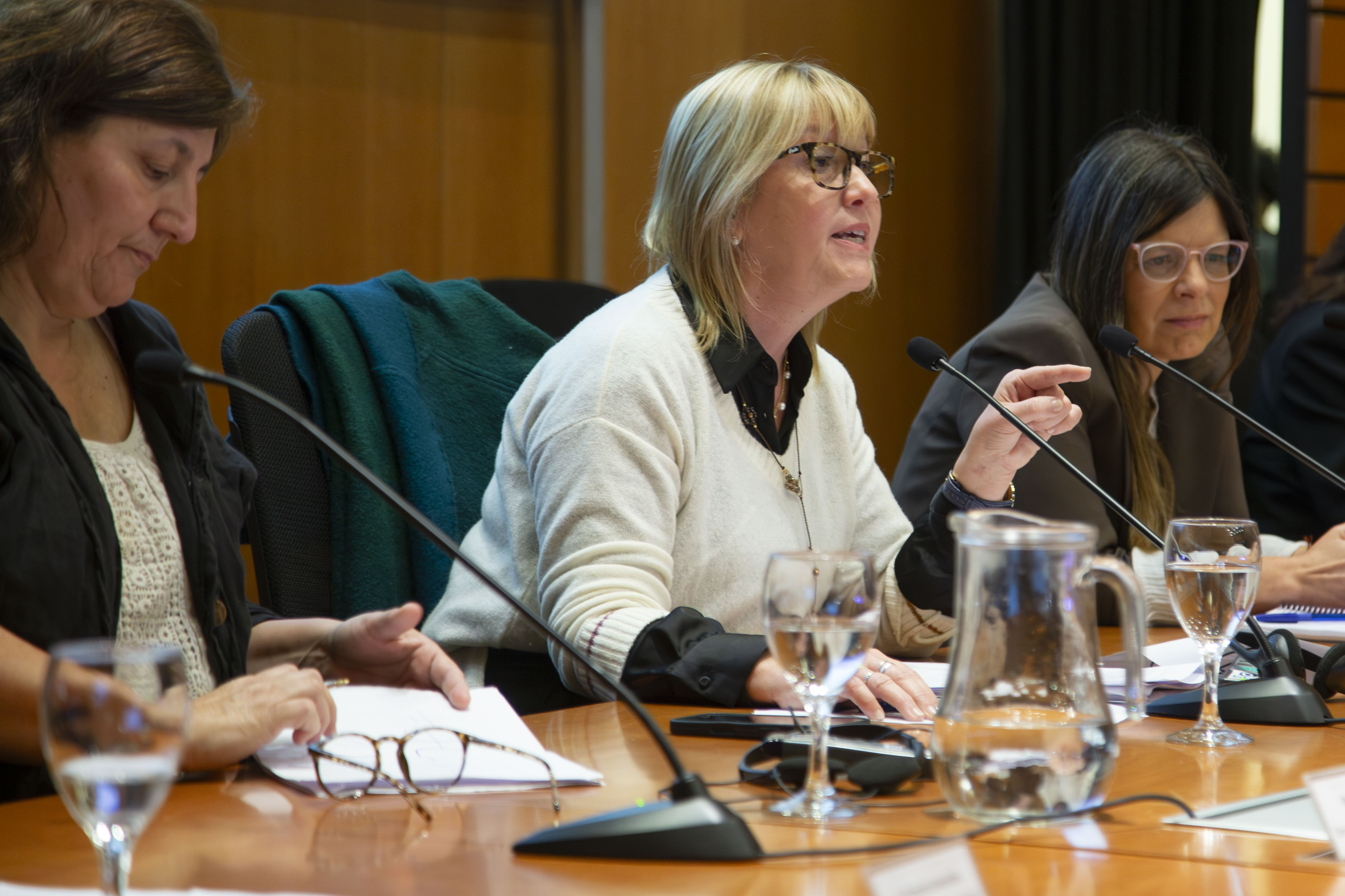 Seminario Modelo Barnahus para el Abordaje de las Violencias.