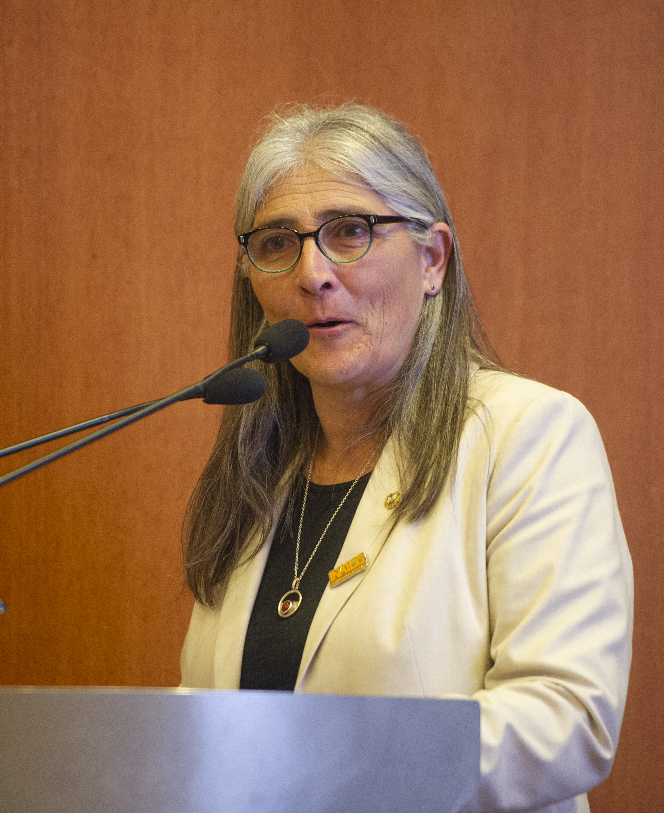 Ministra de Transporte, de pie, diserta en atril con micrófono en el escenario del auditorio de Presidencia.