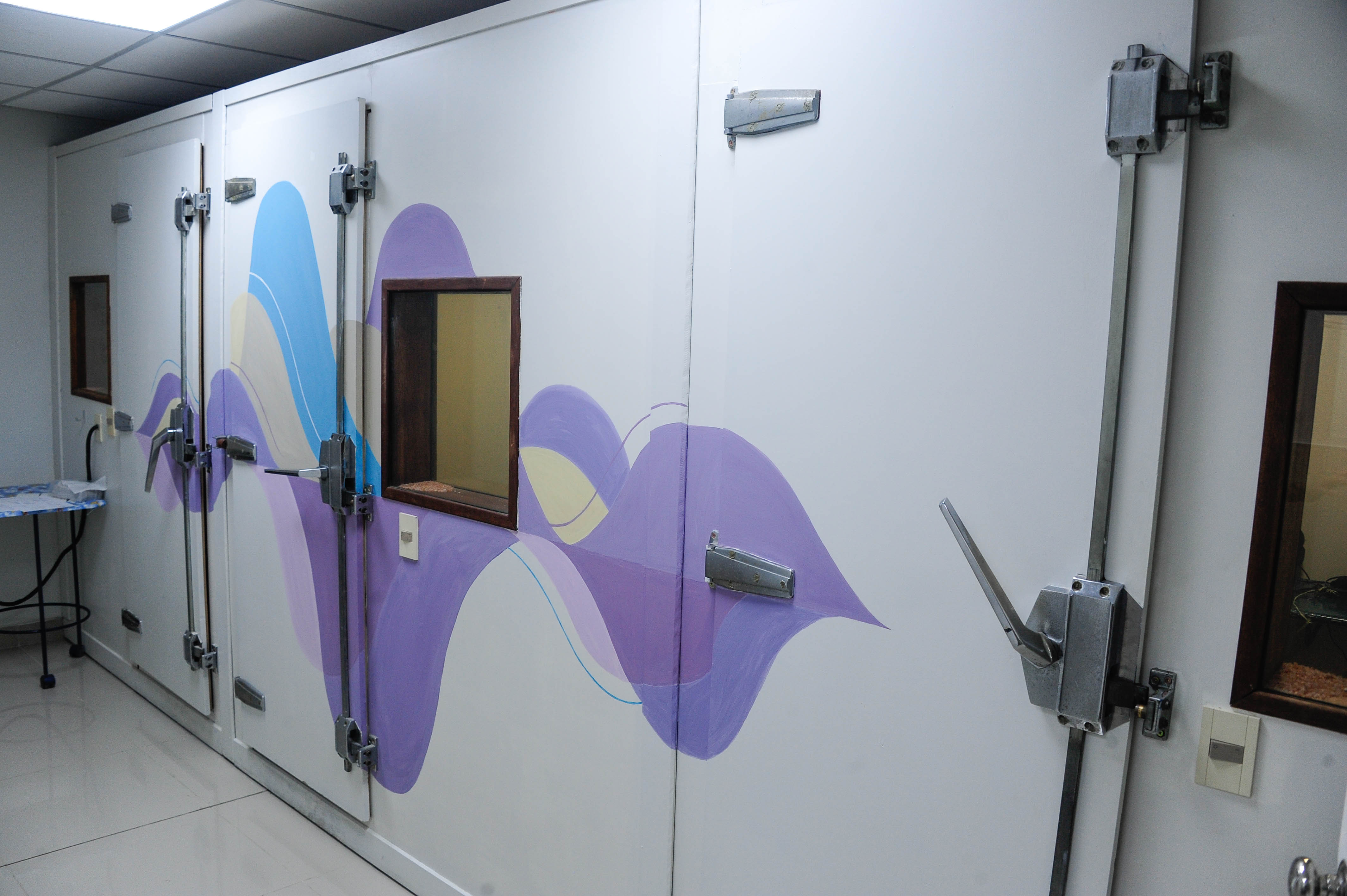 Primer plano de las puertas blancas y violetas de tres cabinas para estudios de fonoaudiología pediátricos.