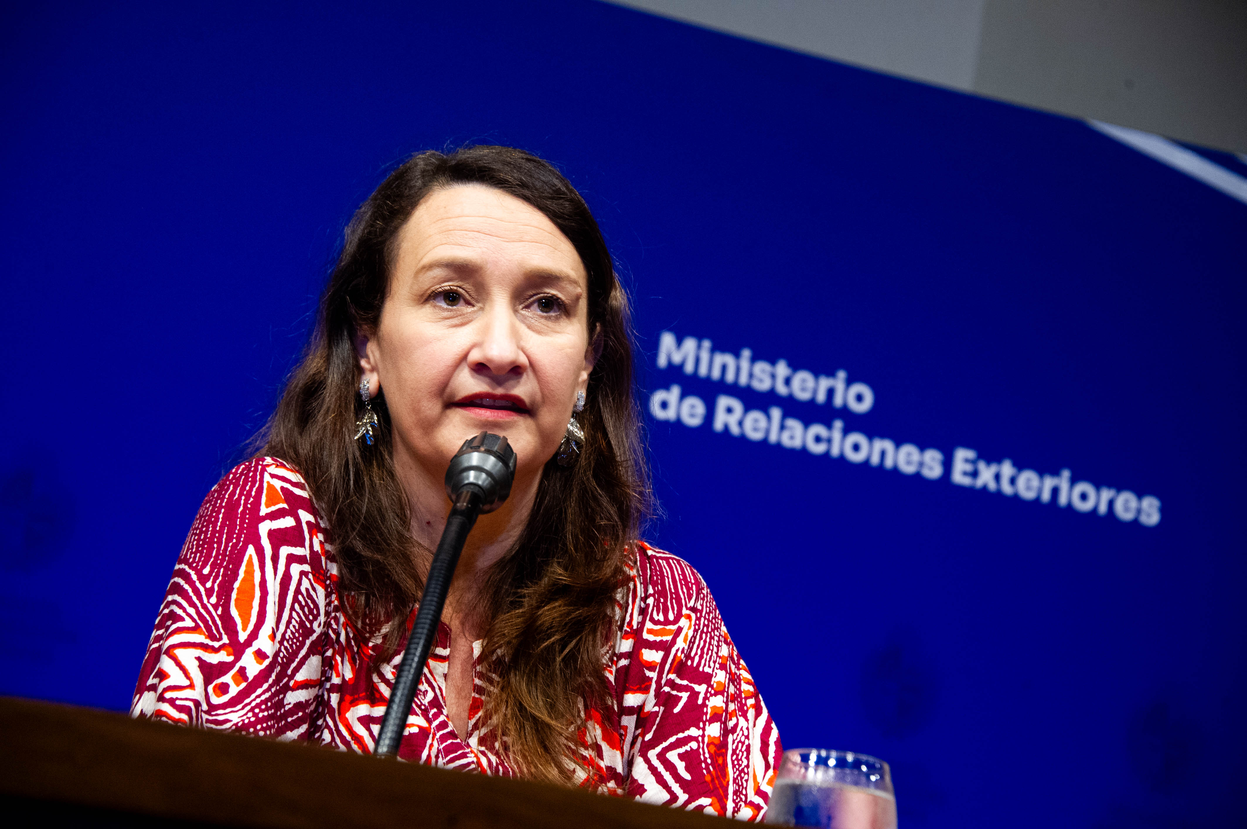 Primer plano de la vicecanciller disertando sentada en mesa con micrófono en mano. Atrás se ve un cartel en azul con logo de Cancillería.