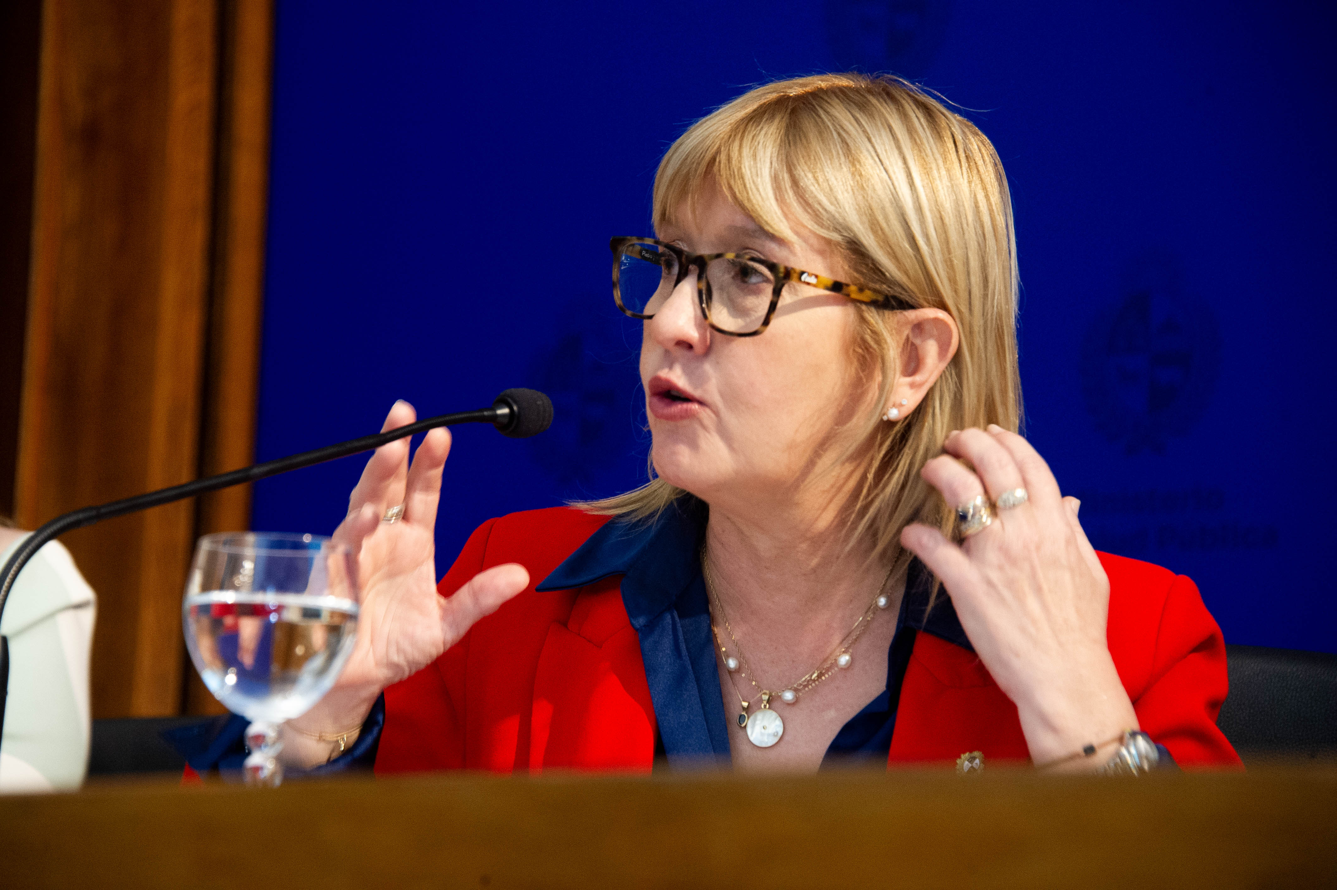 Primer plano de la ministra de Salud Pública disertando sentada en mesa con micrófono. Atrás hay un fondo azul.