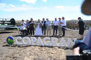 Presidente Orsi asistió a inauguración de cosecha de girasol