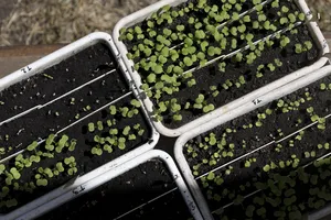 Presidente Orsi en Expo Activa 2026