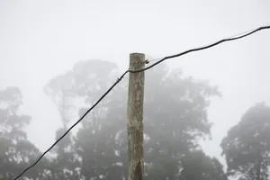 Orsi en inauguración de electrificación rural en Treinta y Tres