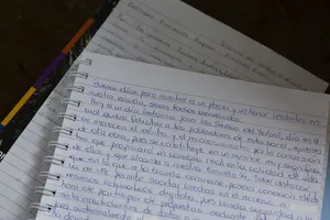 Orsi en inauguración de electrificación rural en Treinta y Tres