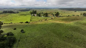 Presentación de proyecto del Parque Fotovoltaico Melo