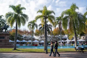 Actividades del sábado 6 en Minas por el Bicentenario