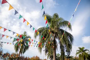 Actividades del sábado 6 en Minas por el Bicentenario