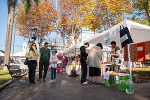Actividades del sábado 6 en Minas por el Bicentenario