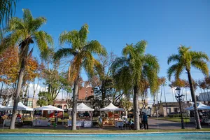 Actividades del sábado 6 en Minas por el Bicentenario