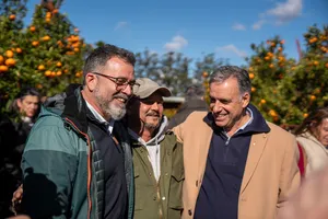 Orsi en zafra citrícola