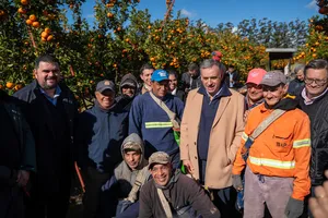 Orsi en zafra citrícola