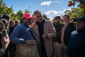 Orsi en zafra citrícola