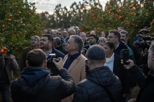 Orsi en zafra citrícola