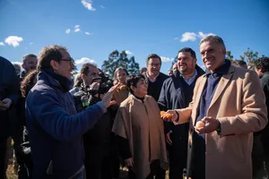 Orsi en zafra citrícola