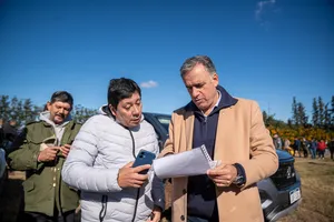 Orsi en zafra citrícola