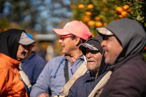 Orsi en zafra citrícola