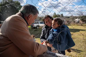 Campaña contra la enfermedad del HLB