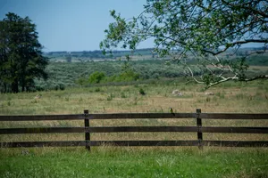 Se presentó llamado para Polo de Desarrollo Lechero en Florida