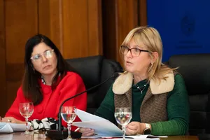 Créditos: Presidencia de la República (fuente institucional) Iniciativas seleccionadas en fondos concursables de Acción País por la Salud Mental.