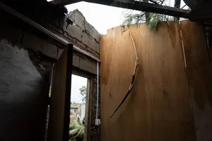 Orsi en Salto
