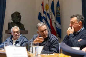 Orsi en Salto