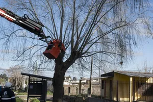 Actividades en marco del plan Más Barrio en Las Piedras, Canelones