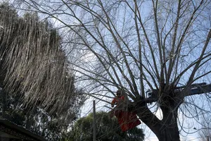 Actividades en marco del plan Más Barrio en Las Piedras, Canelones
