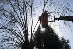 Actividades en marco del plan Más Barrio en Las Piedras, Canelones