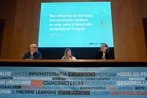 Presentación de resultados de convocatoria del Fondo Ida Holz del 2025