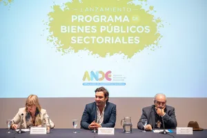 Ande: Presentación del programa Bienes Públicos Sectoriales