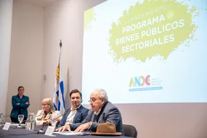 Ande: Presentación del programa Bienes Públicos Sectoriales