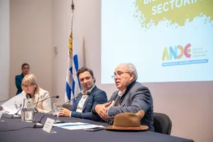 Ande: Presentación del programa Bienes Públicos Sectoriales