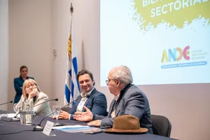 Ande: Presentación del programa Bienes Públicos Sectoriales