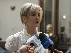 Plan de Seguridad Pública