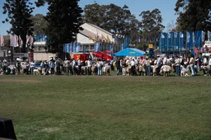 Cierre de Expo Prado 2026