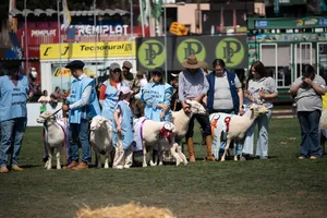 Cierre de Expo Prado 2026