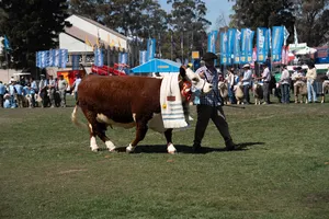 Cierre de Expo Prado 2026