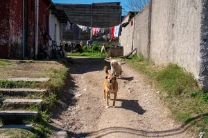 Más Barrio en Durazno