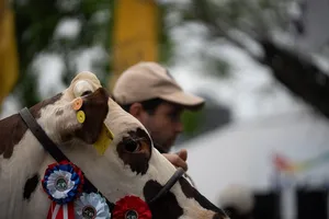 Alejandro Sánchez asistió al cierre de la Expo San José