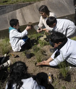 Alumnos de la escuela Ana Frank y jóvenes del centro “33 Orientales” plantaron árboles