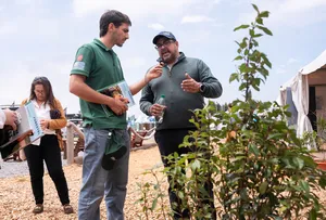 Sánchez en Foro Forestal Regional